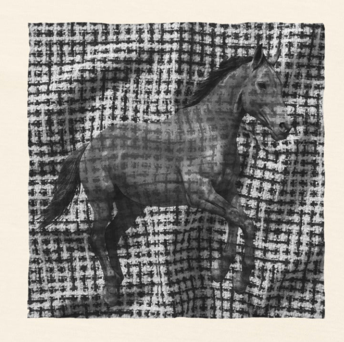 Tweed Horse Graphic Unisex oversized t-shirt